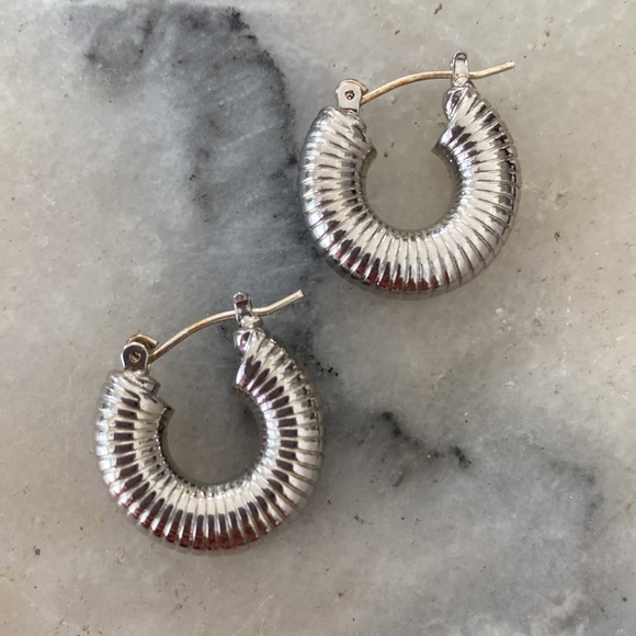 Jewelry - Silver Hoop For The Gilded Earrings